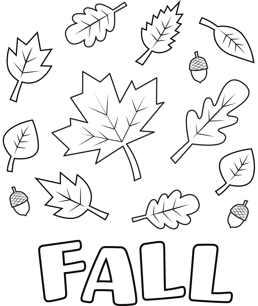 Fall Leaves