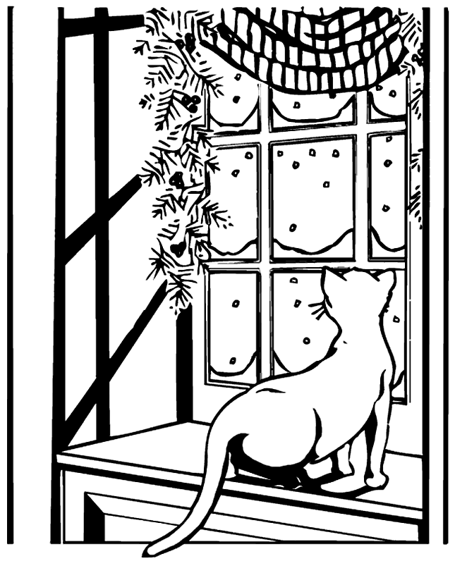 Cat Watching Snow