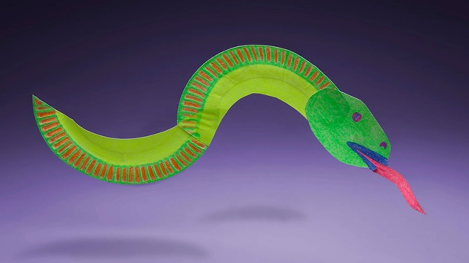 Eels Theyre Electric