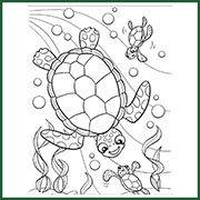 Story Creator Sea Turtles Coloring Page
