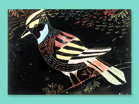 Tropical Birds at Night