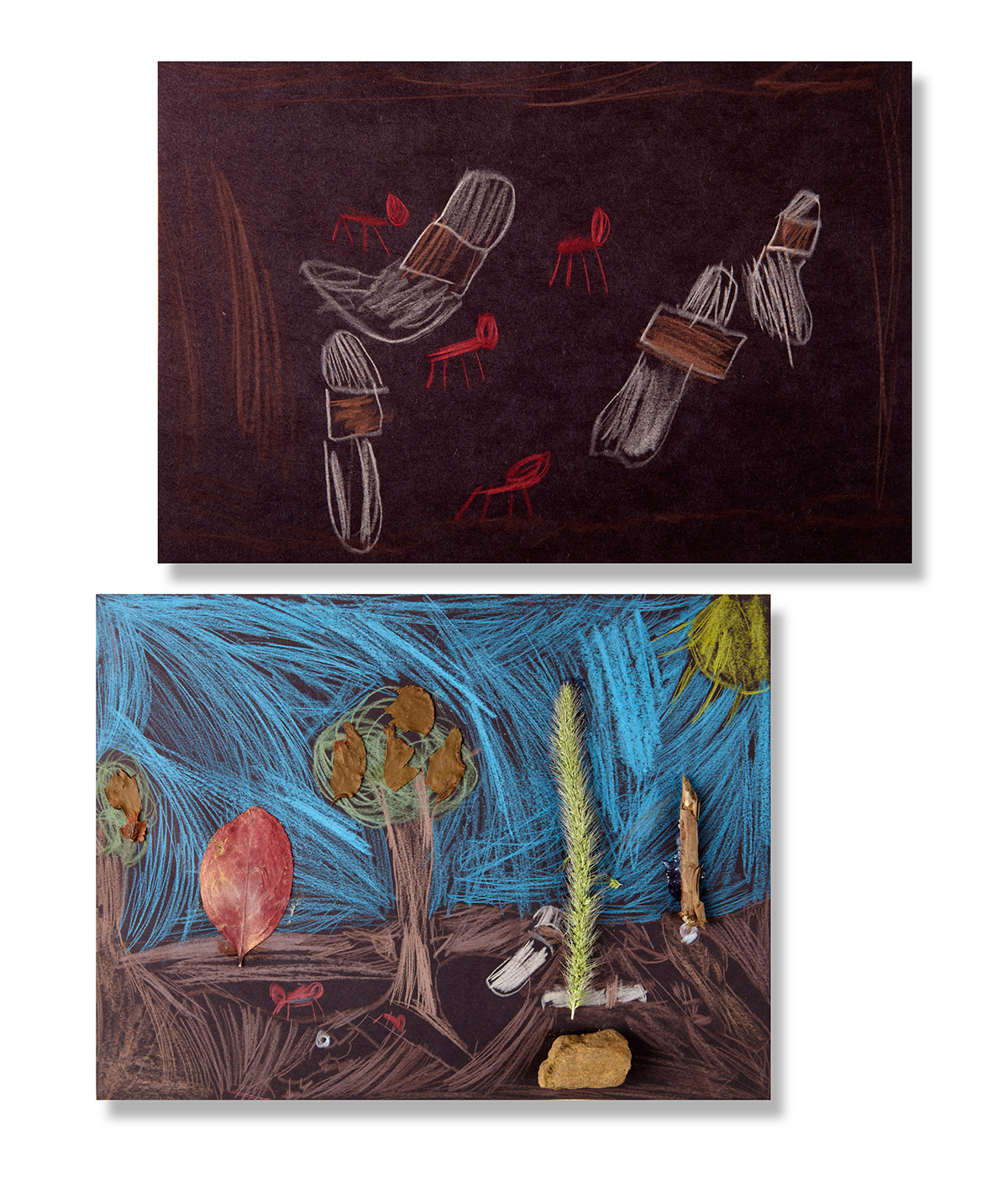 Animal Homes Underground