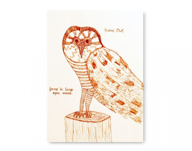 Drawing Canadian Creatures   Inspired by the Codex Canadensis