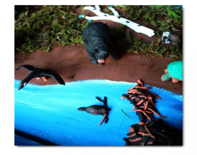 Life Webs   Clans, Diorama, Habitat, Form