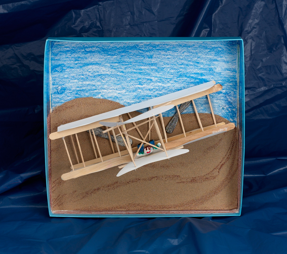 Flight on the Beach