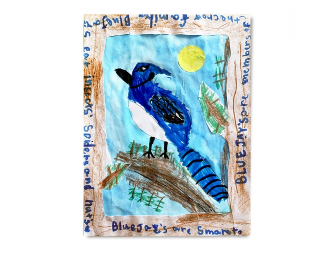 Canadian Backyard Birds   Positive and Negative Space