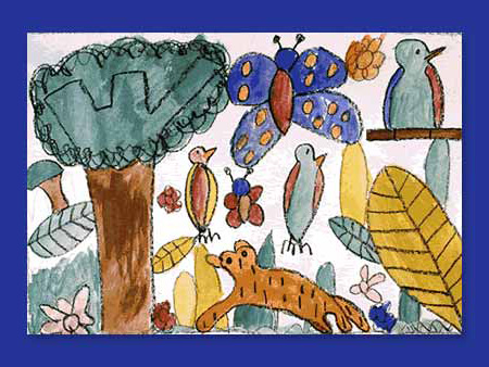 Rainforest Wildlife
