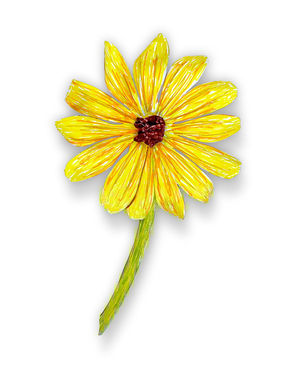 Fibonacci Flowers