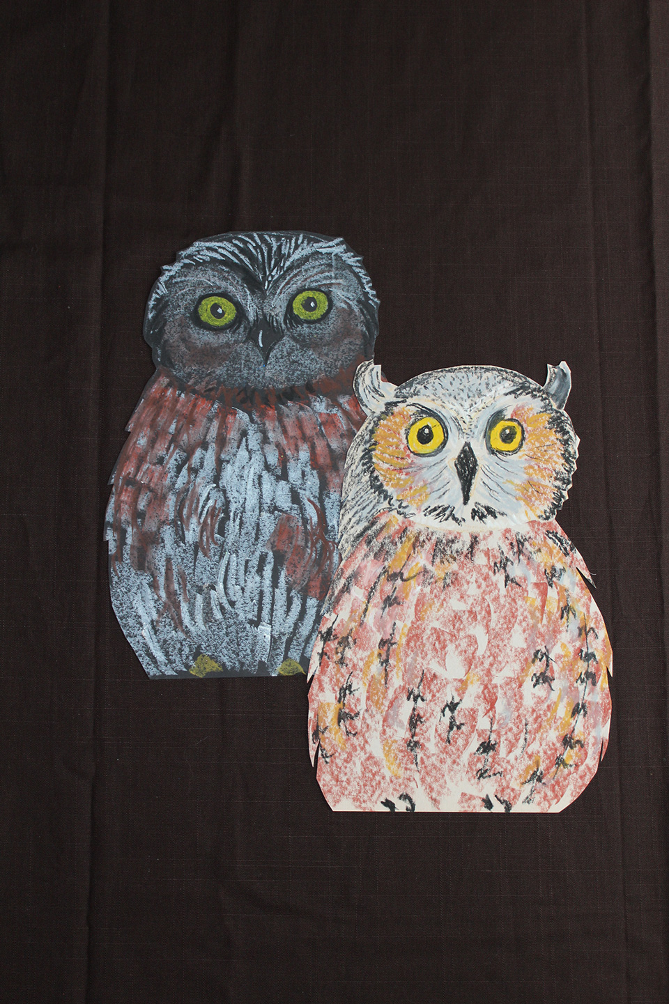 Owls Abound