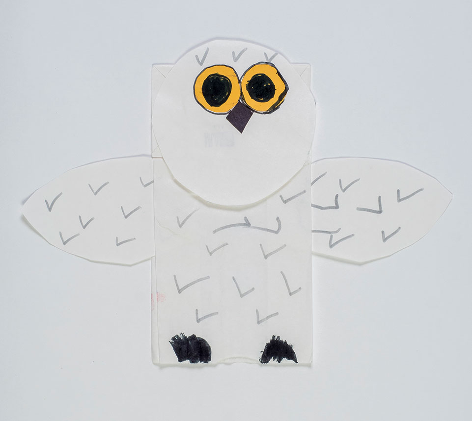 Snowy Owl