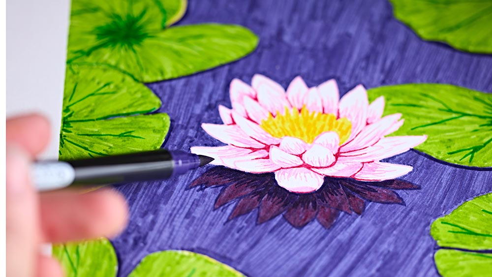 Drawing of water lily