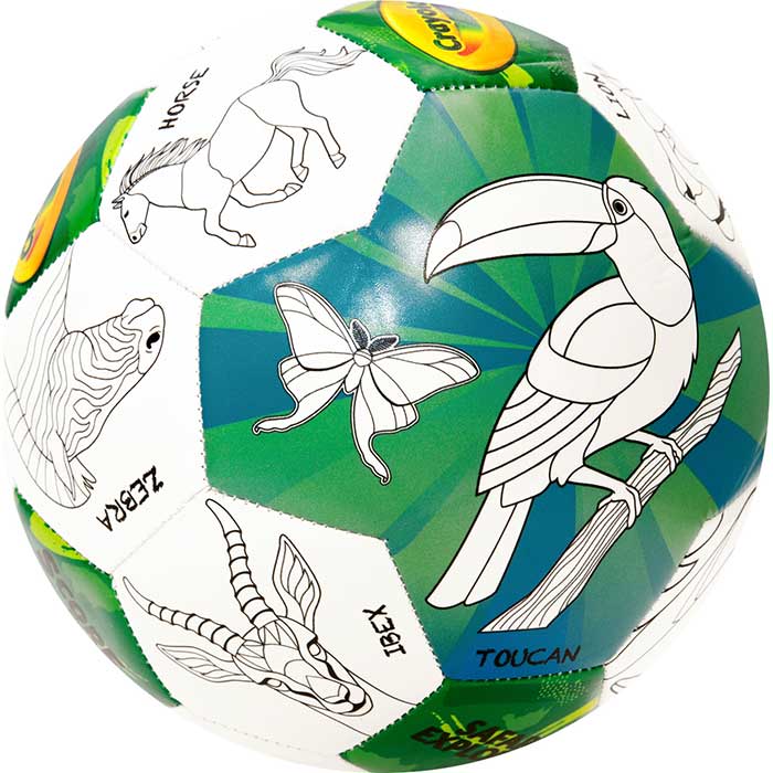 Crayola Score N' Explore Officially Licensed Size 5 Color Ball – Zoo Animals Explorer contents. parrot side