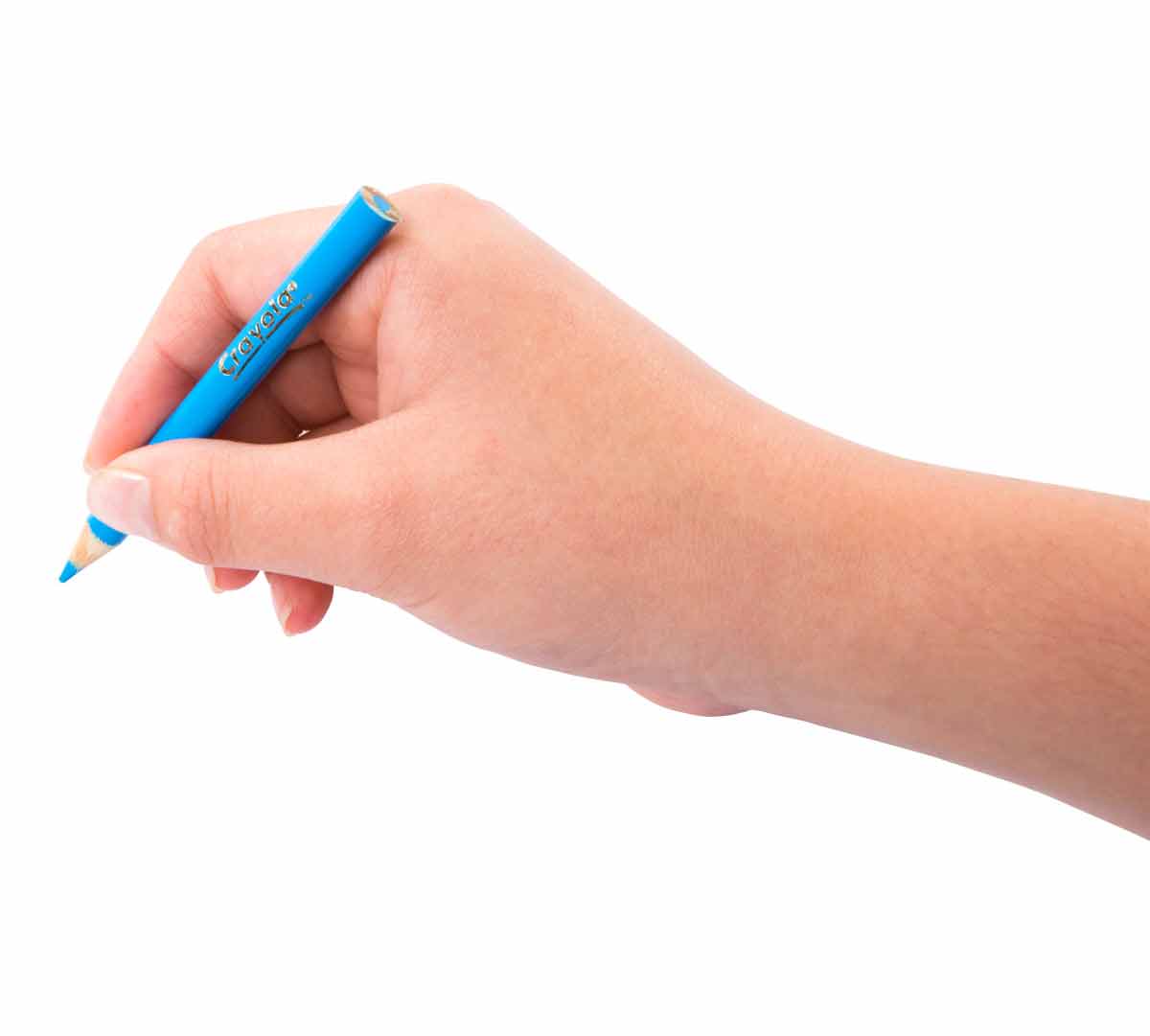 Short Colored Pencils  64 count. Hand holding blue short colored pencil.
