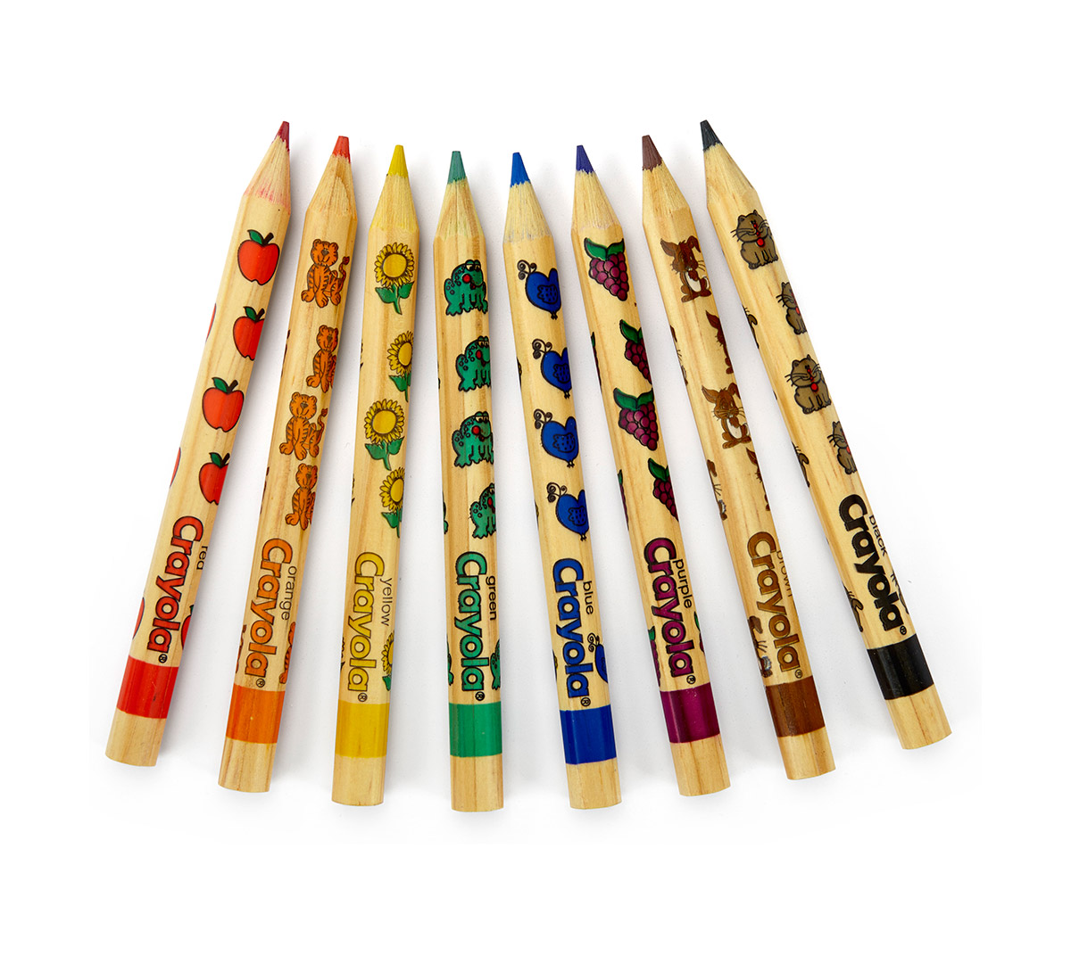 Write Start Colored Pencils 8 ct.