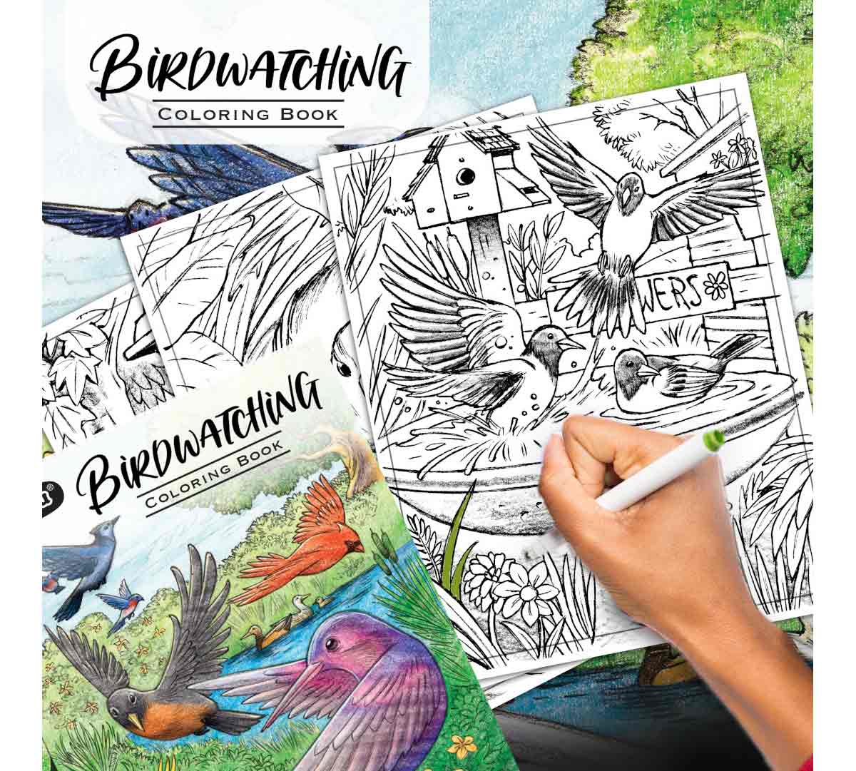 Bird Watching Coloring Book. Hand coloring bird page with green marker and collage of pages and cover in the background.