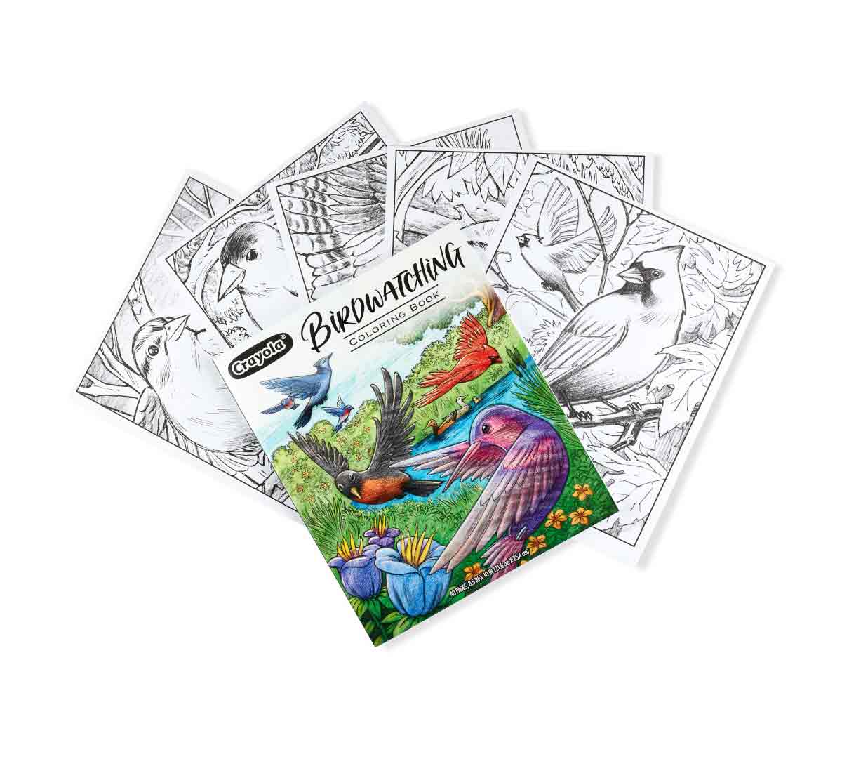 Bird Watching Coloring Book packaging and select pages