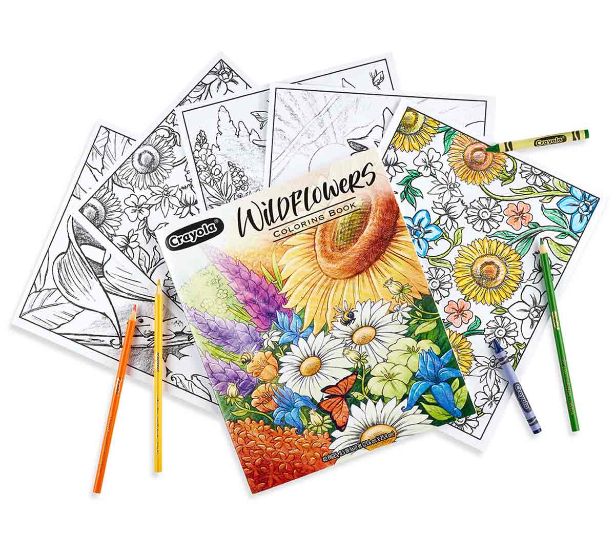Wildflowers Coloring Book back cover