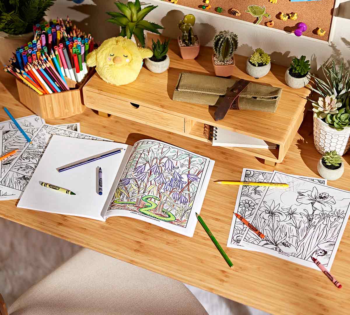 Wildflower Adult Coloring Book, 40 Pages