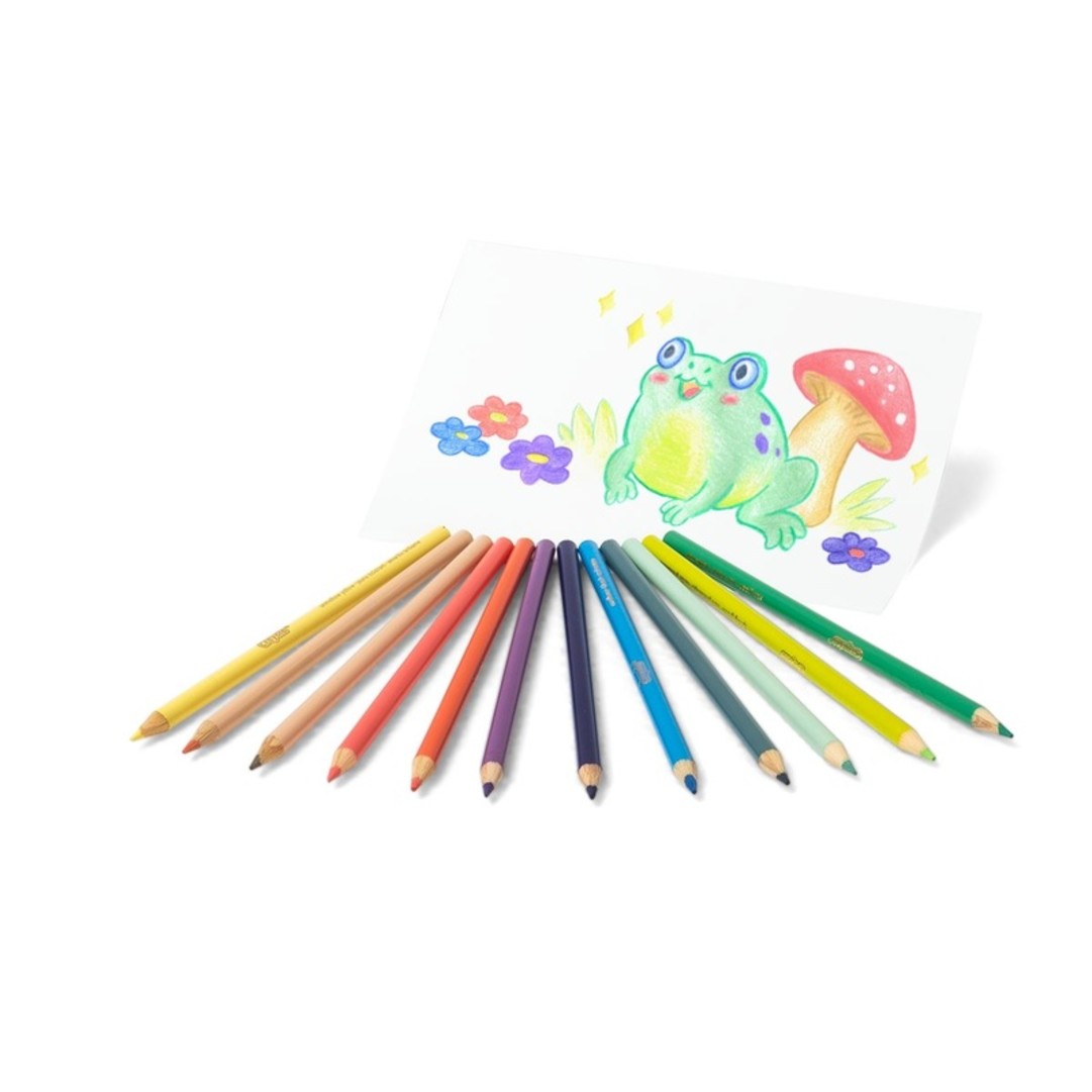 Pastel Colouring Pencils, Pack of 12 contents with a coloured image