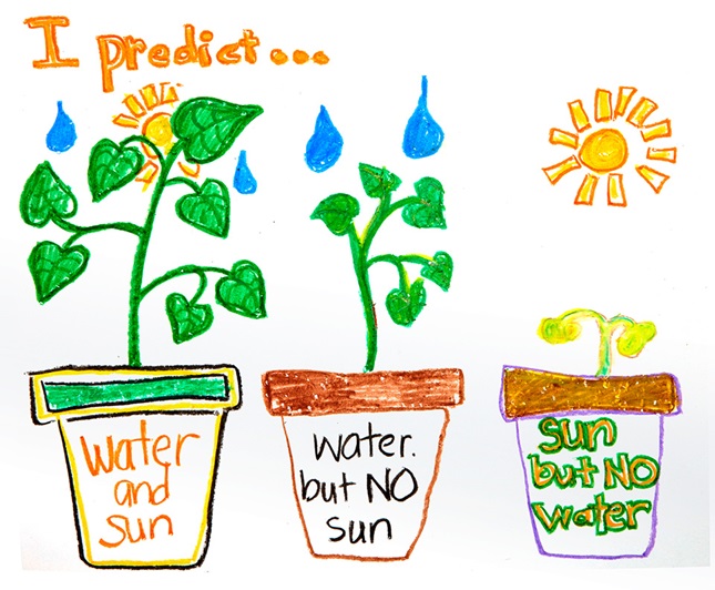 Predictions About Plants