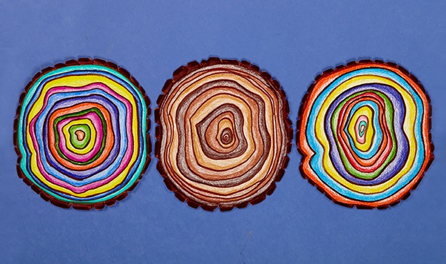 Tree Ring Art | crayola.com